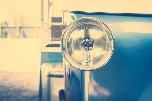 Building a Diverse Collection: Tips for New Investors